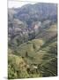 Longsheng Terraced Ricefields, Guilin, Guangxi Province, China-Angelo Cavalli-Mounted Photographic Print
