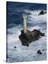 Longships Lighthouse, Lands End, Cornwall, England, United Kingdom-Chris Nicholson-Stretched Canvas