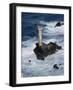 Longships Lighthouse, Lands End, Cornwall, England, United Kingdom-Chris Nicholson-Framed Photographic Print