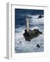 Longships Lighthouse, Lands End, Cornwall, England, United Kingdom-Chris Nicholson-Framed Photographic Print