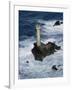 Longships Lighthouse, Lands End, Cornwall, England, United Kingdom-Chris Nicholson-Framed Photographic Print