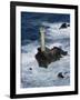 Longships Lighthouse, Lands End, Cornwall, England, United Kingdom-Chris Nicholson-Framed Photographic Print