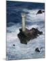 Longships Lighthouse, Lands End, Cornwall, England, United Kingdom-Chris Nicholson-Mounted Photographic Print