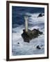 Longships Lighthouse, Lands End, Cornwall, England, United Kingdom-Chris Nicholson-Framed Photographic Print