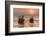 Longtail boats at West Rai Leh Beach, Railay Peninsula, Krabi Province, Thailand-Markus Lange-Framed Photographic Print