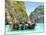 Longtail Boats in Maya Bay, Ko Phi Phi, Thailand-R.M. Nunes-Mounted Photographic Print