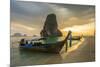 Longtail boats on Phra Nang beach, Railay Peninsula, Krabi Province, Thailand-Jon Arnold-Mounted Photographic Print