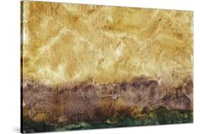 Longview I-Renee W. Stramel-Stretched Canvas