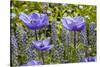 Longwood Garden Spring-Richard T. Nowitz-Stretched Canvas