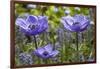 Longwood Garden Spring-Richard T. Nowitz-Framed Photographic Print