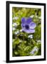 Longwood Garden Spring-Richard T. Nowitz-Framed Photographic Print