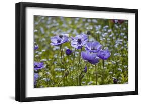 Longwood Garden Spring-Richard T. Nowitz-Framed Photographic Print