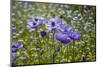 Longwood Garden Spring-Richard T. Nowitz-Mounted Photographic Print