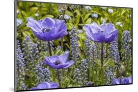 Longwood Garden Spring-Richard T. Nowitz-Mounted Photographic Print