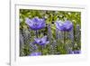 Longwood Garden Spring-Richard T. Nowitz-Framed Photographic Print