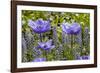 Longwood Garden Spring-Richard T. Nowitz-Framed Photographic Print