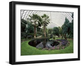 Longwood Gardens, Kennett Square, Pennsylvania, USA-null-Framed Photographic Print