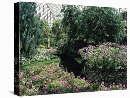 Longwood Gardens, Pennsylvania, USA-null-Stretched Canvas