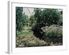 Longwood Gardens, Pennsylvania, USA-null-Framed Photographic Print