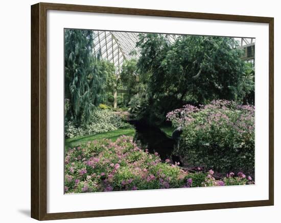 Longwood Gardens, Pennsylvania, USA-null-Framed Photographic Print