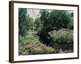 Longwood Gardens, Pennsylvania, USA-null-Framed Photographic Print
