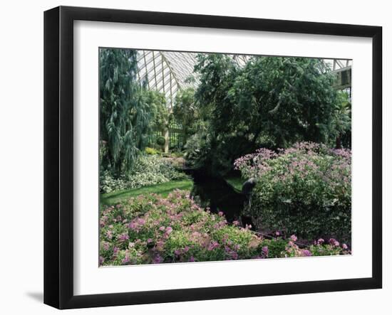 Longwood Gardens, Pennsylvania, USA-null-Framed Photographic Print