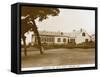 Longwood House, St Helena-null-Framed Stretched Canvas