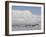 Longyearbyen, Svalbard, Spitzbergen, Arctic, Norway, Scandinavia, Europe-Milse Thorsten-Framed Photographic Print