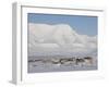 Longyearbyen, Svalbard, Spitzbergen, Arctic, Norway, Scandinavia, Europe-Milse Thorsten-Framed Photographic Print