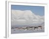 Longyearbyen, Svalbard, Spitzbergen, Arctic, Norway, Scandinavia, Europe-Milse Thorsten-Framed Photographic Print