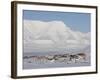 Longyearbyen, Svalbard, Spitzbergen, Arctic, Norway, Scandinavia, Europe-Milse Thorsten-Framed Photographic Print