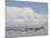 Longyearbyen, Svalbard, Spitzbergen, Arctic, Norway, Scandinavia, Europe-Milse Thorsten-Mounted Photographic Print