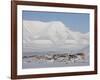 Longyearbyen, Svalbard, Spitzbergen, Arctic, Norway, Scandinavia, Europe-Milse Thorsten-Framed Photographic Print