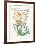 Lonicera Periclymenum-Walter Crane-Framed Art Print