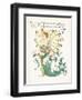 Lonicera Periclymenum-Walter Crane-Framed Art Print