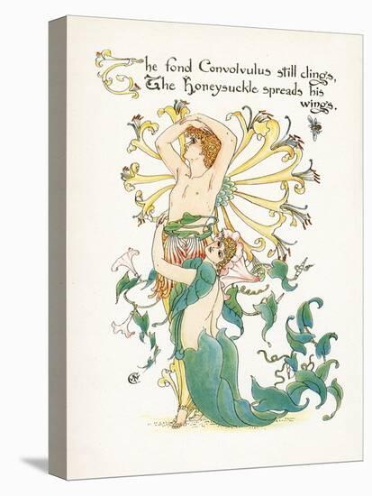 Lonicera Periclymenum-Walter Crane-Stretched Canvas