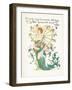 Lonicera Periclymenum-Walter Crane-Framed Art Print