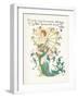 Lonicera Periclymenum-Walter Crane-Framed Art Print