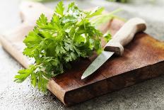 Bunch of Fresh Parsley on a Wooden Board-looby-Stretched Canvas