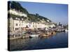 Looe, Cornwall, England, United Kingdom-Peter Scholey-Stretched Canvas