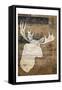 Look At Me Moose-Milli Villa-Framed Stretched Canvas