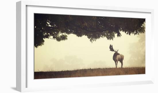 Look Back-Mark Bridger-Framed Art Print