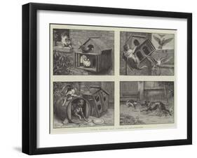 Look before You Leap, a Catastrophe-S.t. Dadd-Framed Giclee Print