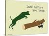 Look Before You Leap-Dog is Good-Stretched Canvas