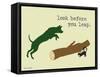 Look Before You Leap-Dog is Good-Framed Stretched Canvas