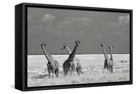 Look Girl Strange Animals-Mathilde Guillemot-Framed Stretched Canvas