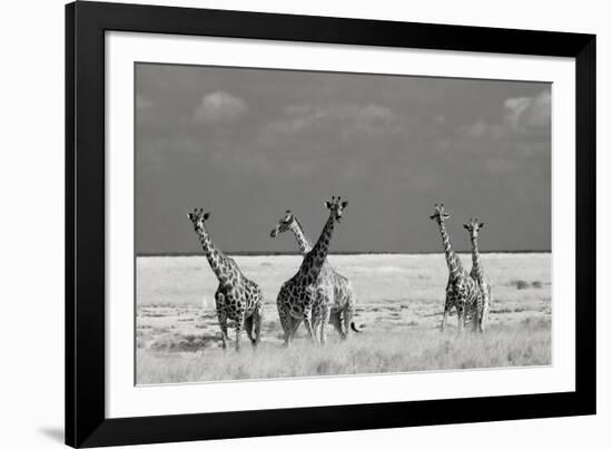 Look Girl Strange Animals-Mathilde Guillemot-Framed Photographic Print