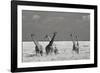 Look Girl Strange Animals-Mathilde Guillemot-Framed Photographic Print