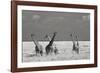 Look Girl Strange Animals-Mathilde Guillemot-Framed Photographic Print