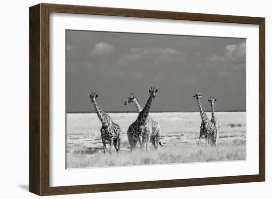 Look Girl Strange Animals-Mathilde Guillemot-Framed Photographic Print